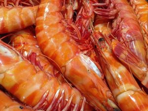 shrimp-1141476__340