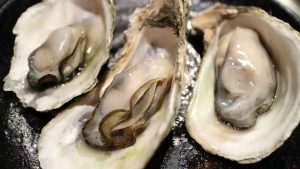 oyster-989182__340